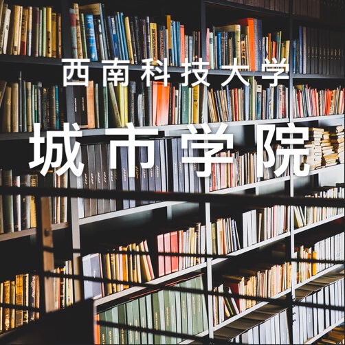 西南城市大學綜合管理系統軟件